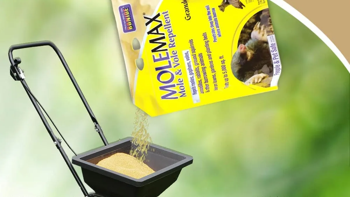 How to choose and use the best vole repellents