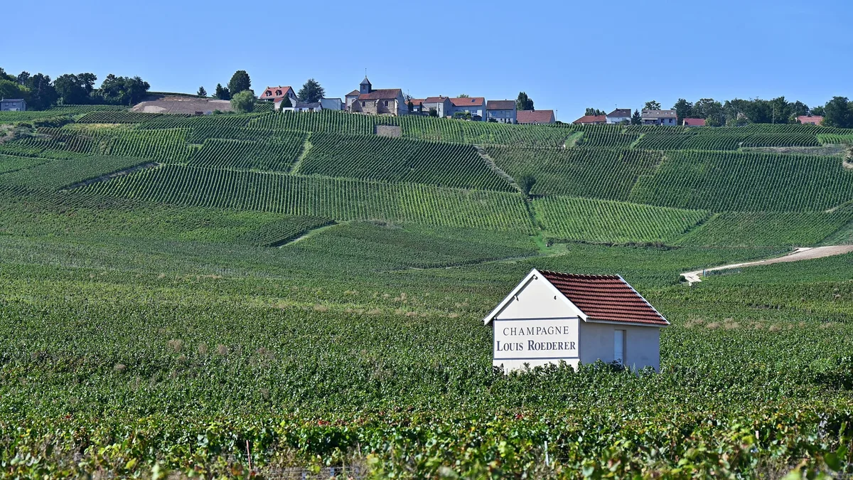 How climate change is impacting champagne production