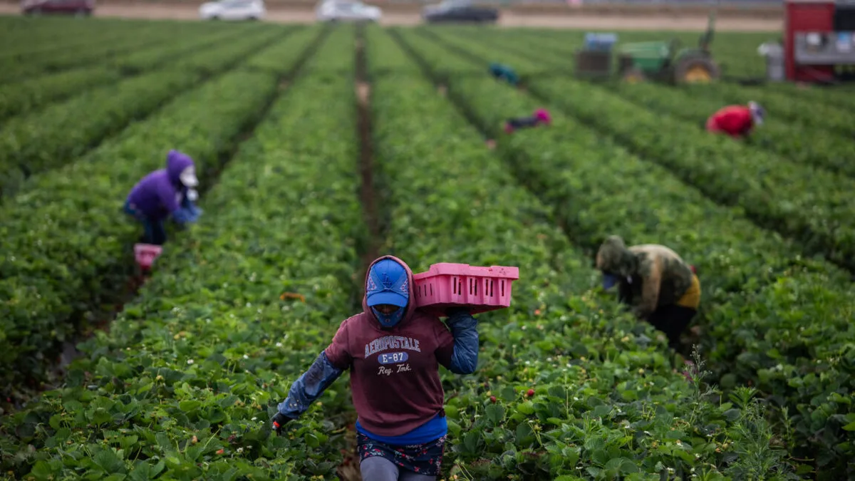 How extreme heat increases pesticide toxicity for farmworkers