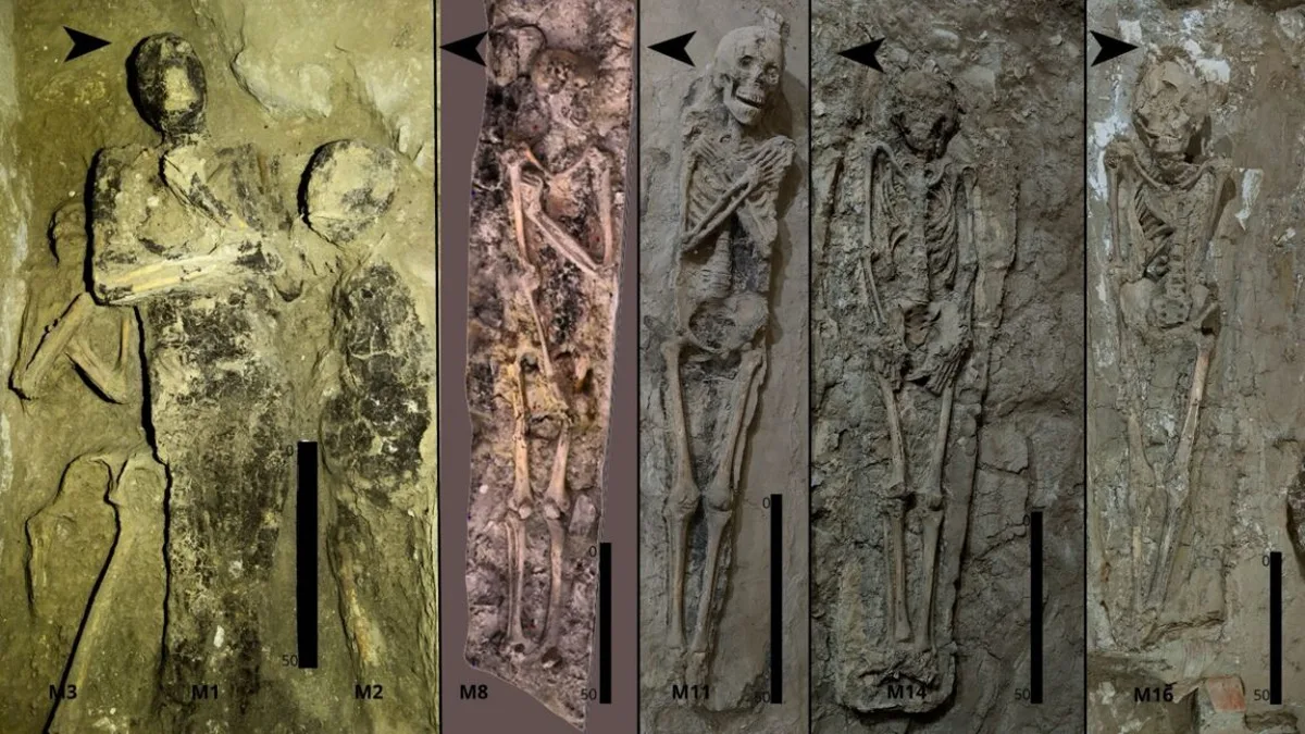 How Egyptian burial trends evolved: insights from Theban tomb 209