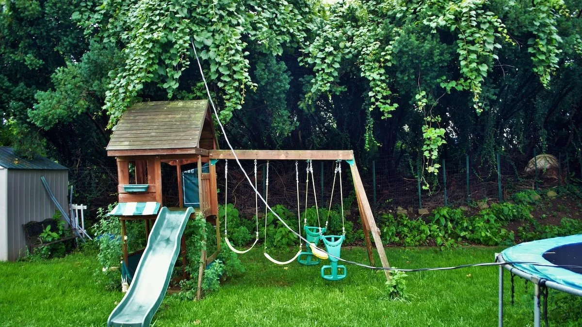 What to do if a tree falls on your house