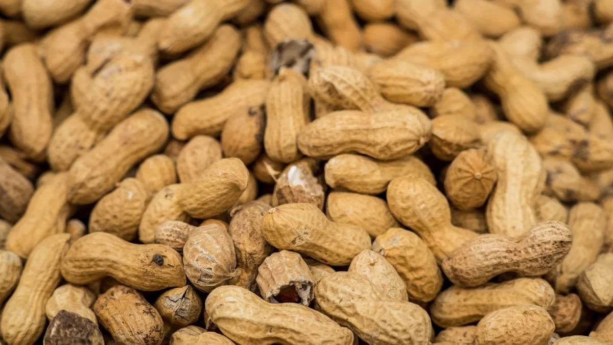 Fecal microbiome transplantation for peanut allergies: current research status